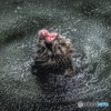 水浴び