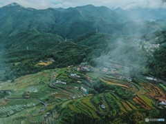 朝靄