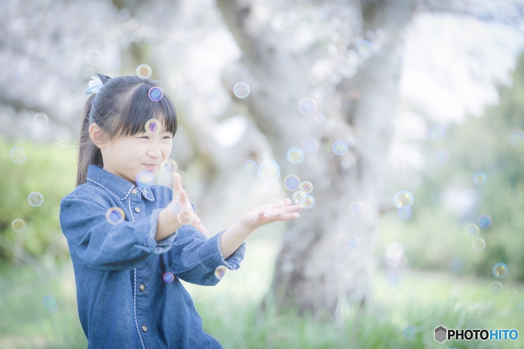 シャボン玉と桜