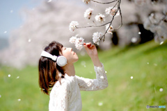 春風