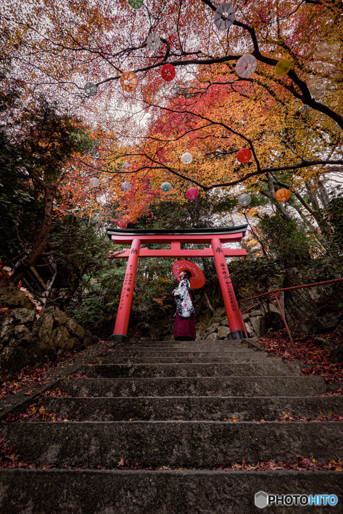 色付いて