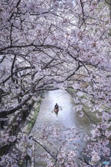 川下り