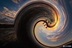 WAVE