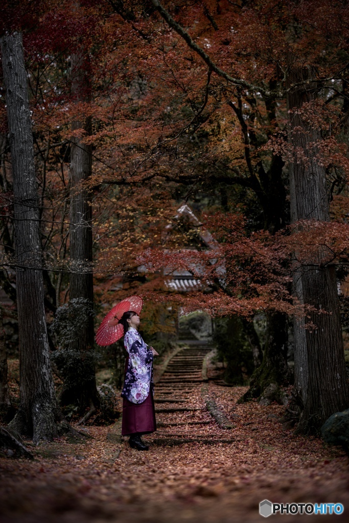 晩酌