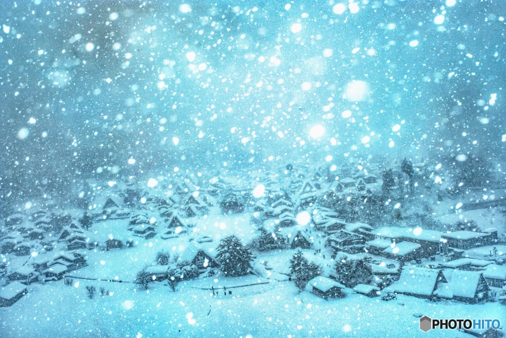 白雪放つ