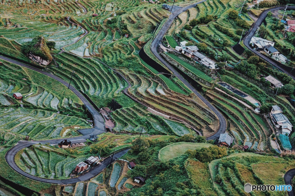 千枚田