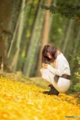 yellow autumn