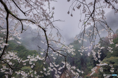 雨上がり