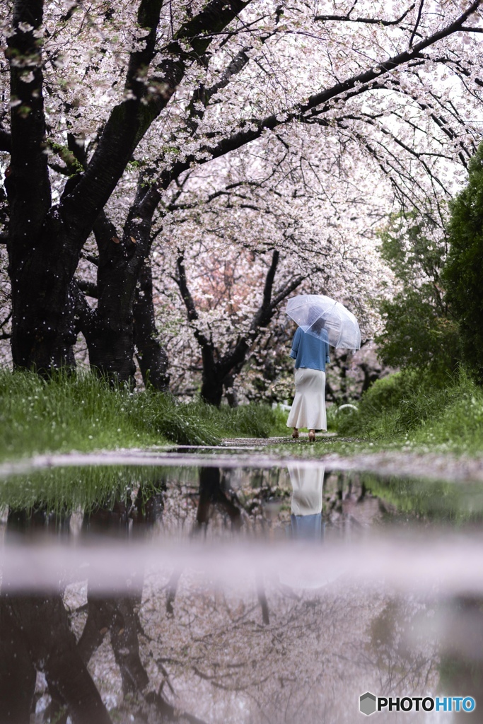 雨上がり