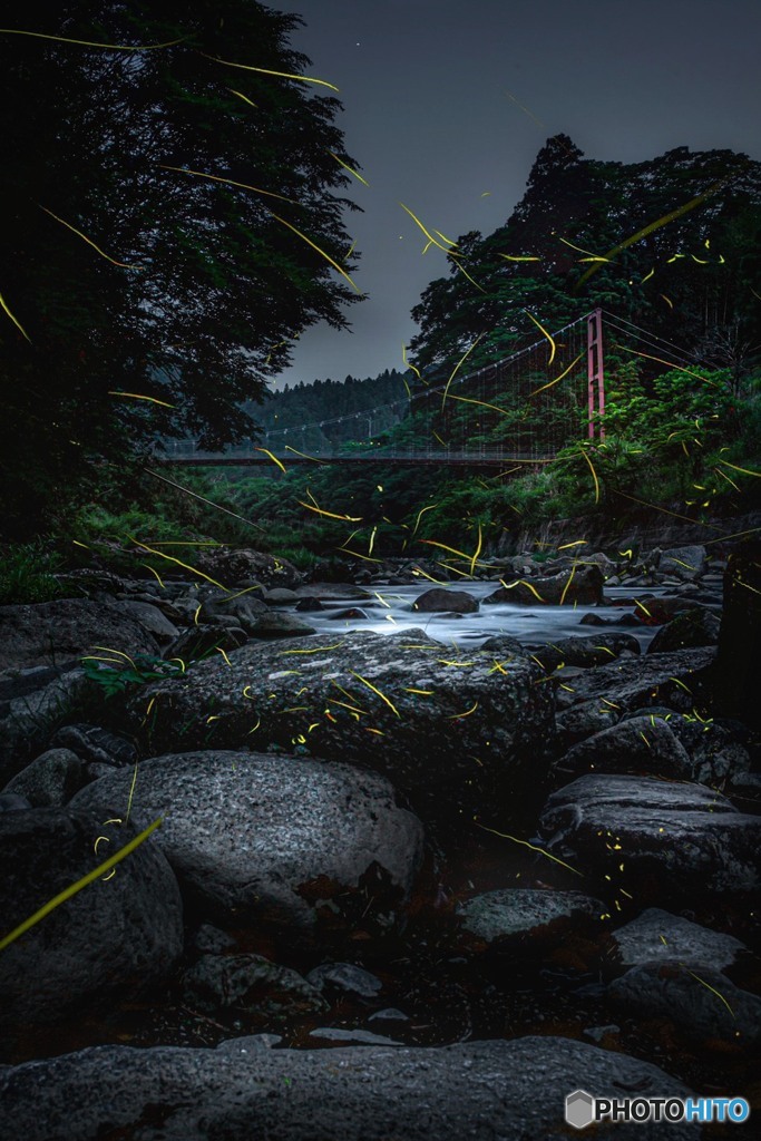 蛍川