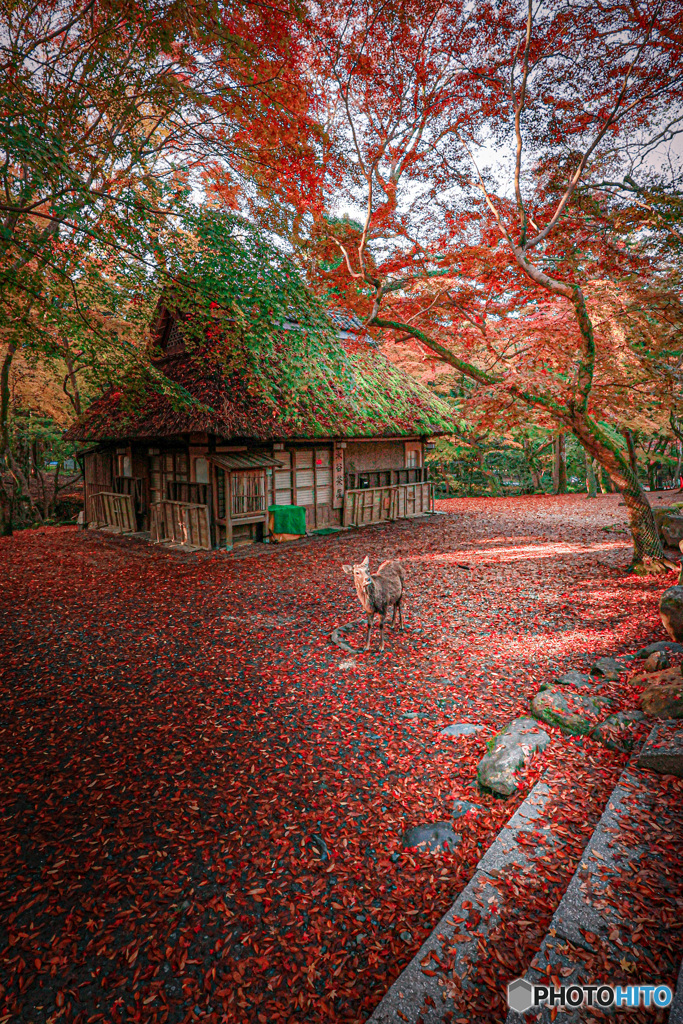 水谷茶屋