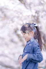 シャボン玉と桜