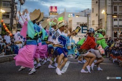 阿波踊り