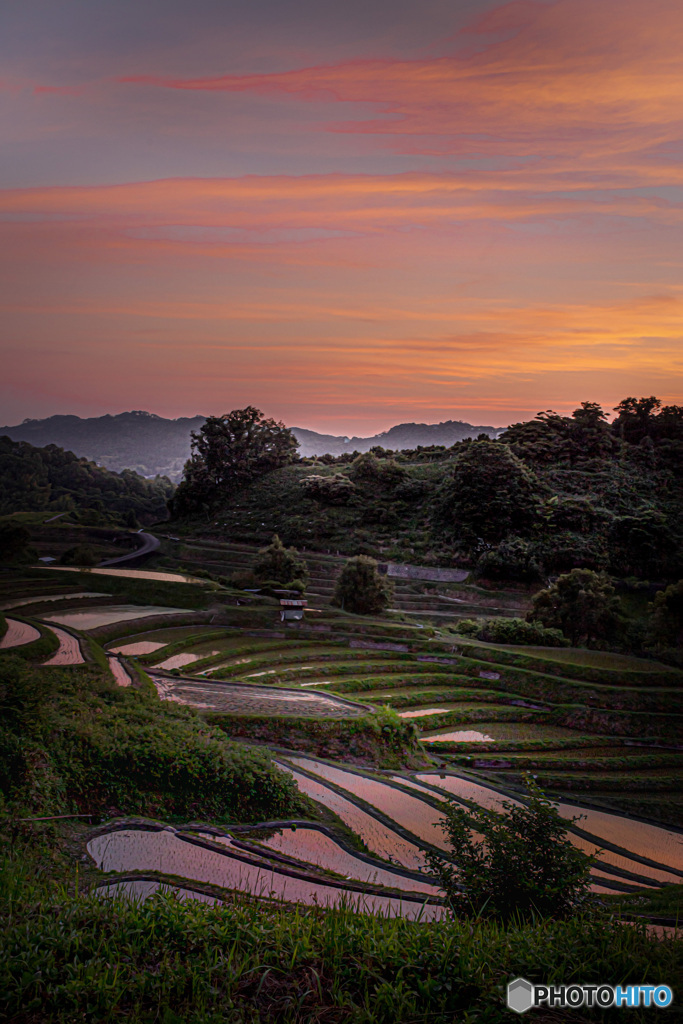 夕刻の棚田