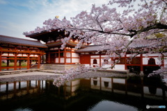 平等院鳳凰堂