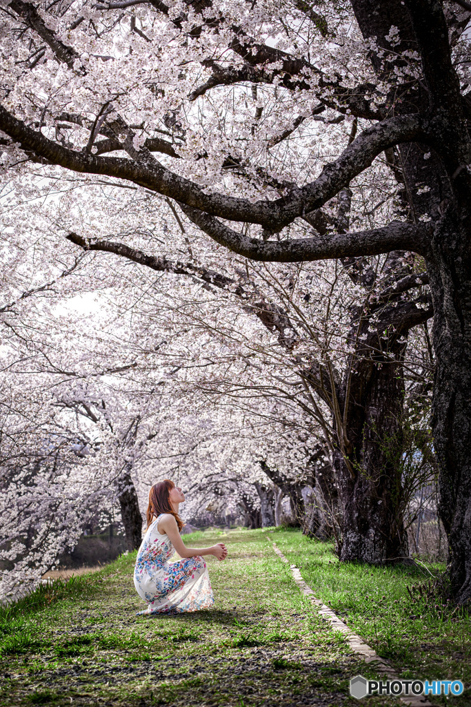 花道