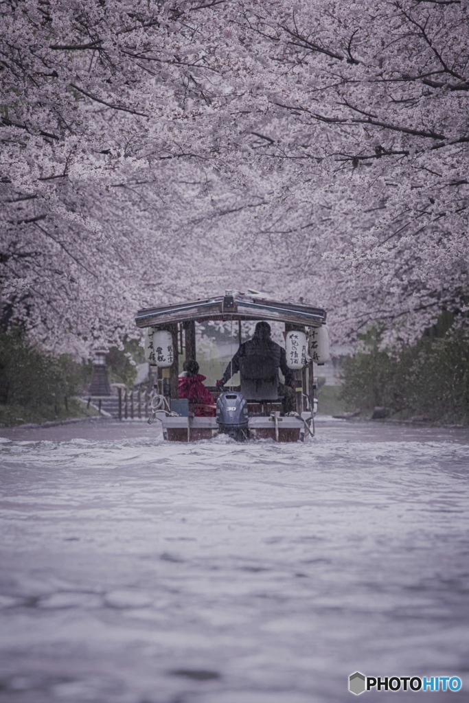 雨天決行