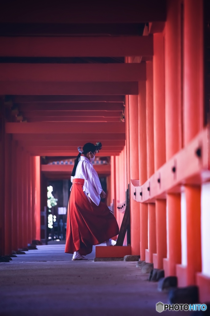 朝拝
