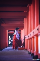 朝拝