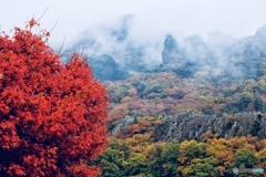 寒霞渓