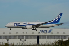 ANA.B787-8