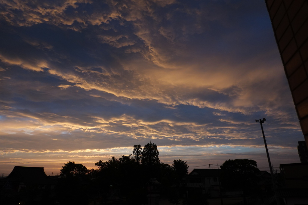 夕焼け①