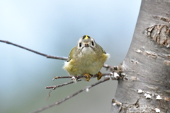 撮れたてホカホカ①