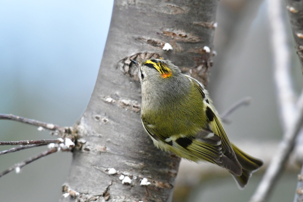 撮れたてホカホカ③