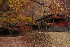 晩秋の東屋