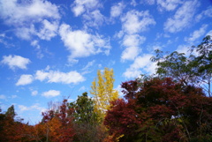 マイフィールド 花公園にて