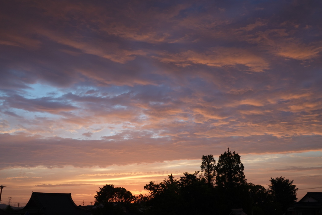 夕焼け②