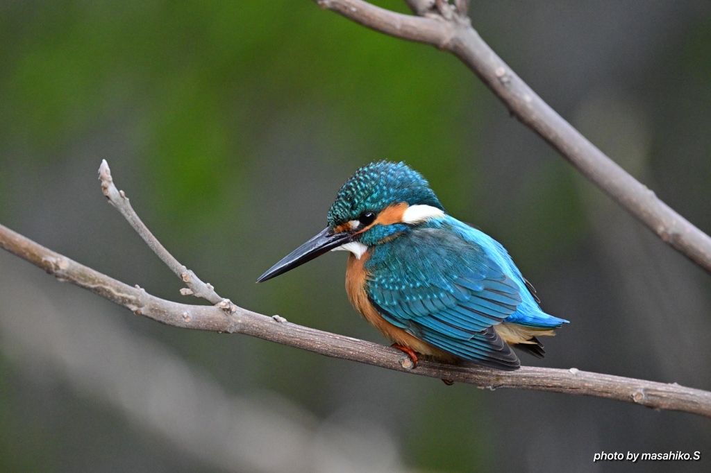 距離　約3メートル！　