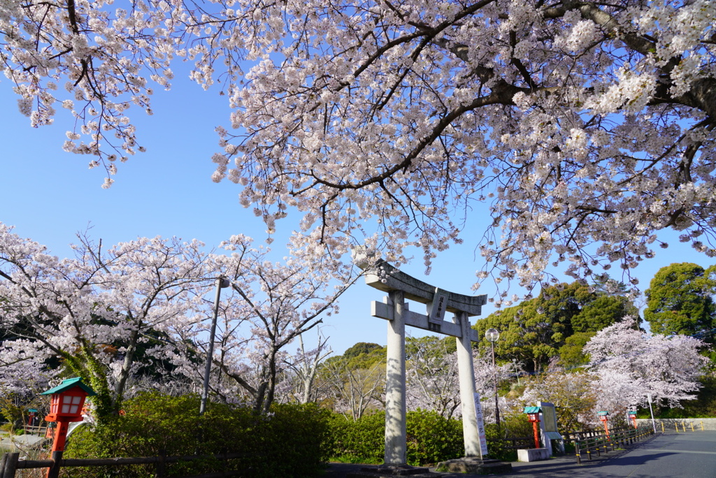 垣生公園