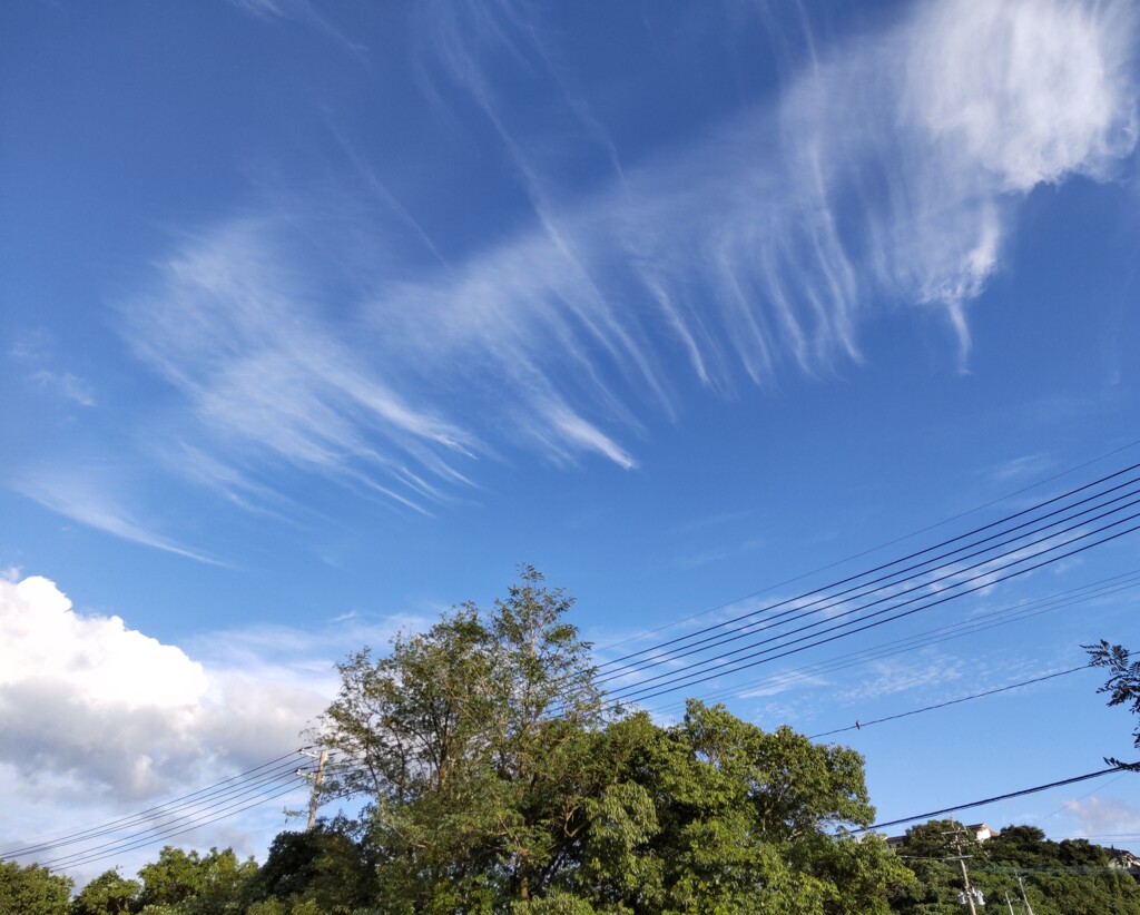 秋空