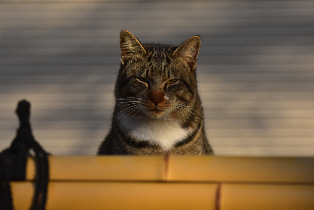 み、見られてた…