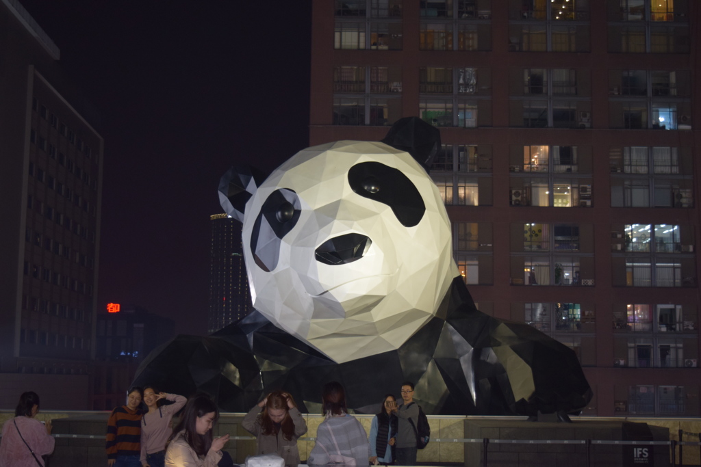 Panda @ 中国成都