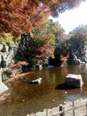 紅葉と滝のハーモニー