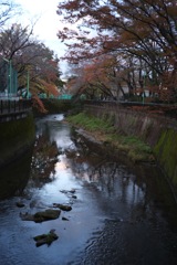9EC7ED2B-A431-438E-9319-3B7A06CEC530