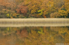 紅葉 水鏡