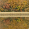 紅葉 水鏡