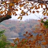 紅葉のまど