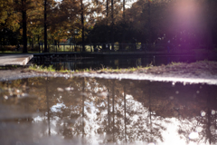 水元公園