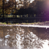 水元公園