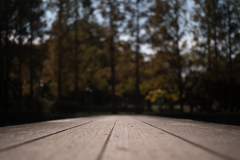 水元公園