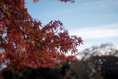 水元公園