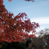 水元公園