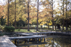 水元公園
