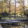 水元公園