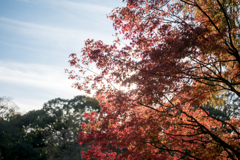 水元公園