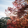 水元公園